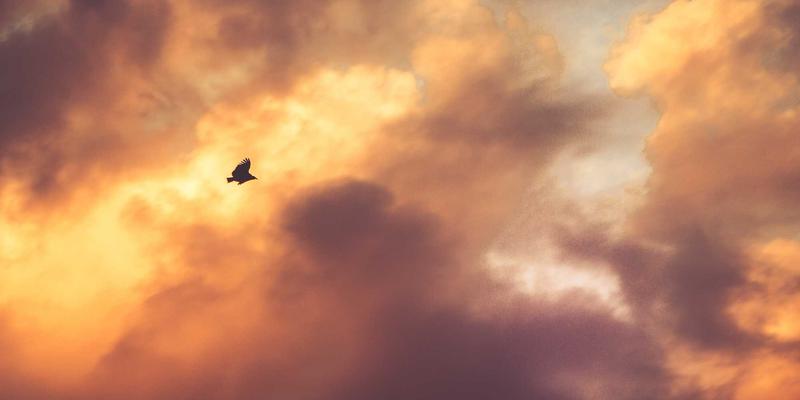 HTTP/3与QUIC协议深度解析：颠覆前端性能优化与后端架构的下一个里程碑