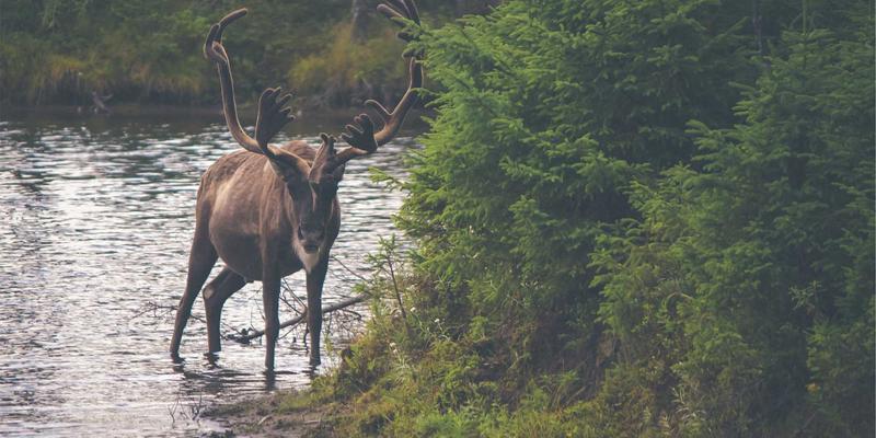SDN如何重塑数据中心网络？揭秘对前后端开发的革命性影响与学习路径