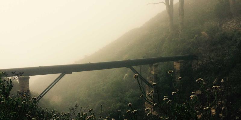 从CLI到代码：深度解析gRPC与gNMI如何重塑网络设备管理的未来