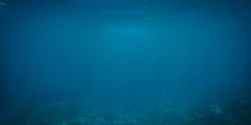 从后端视角看Open RAN：生态演进、技术深水区与开发者的机遇