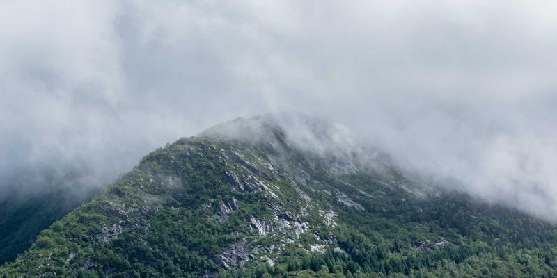 工业互联网的“节拍器”:揭秘TSN如何为实时控制打造确定性低延迟网络